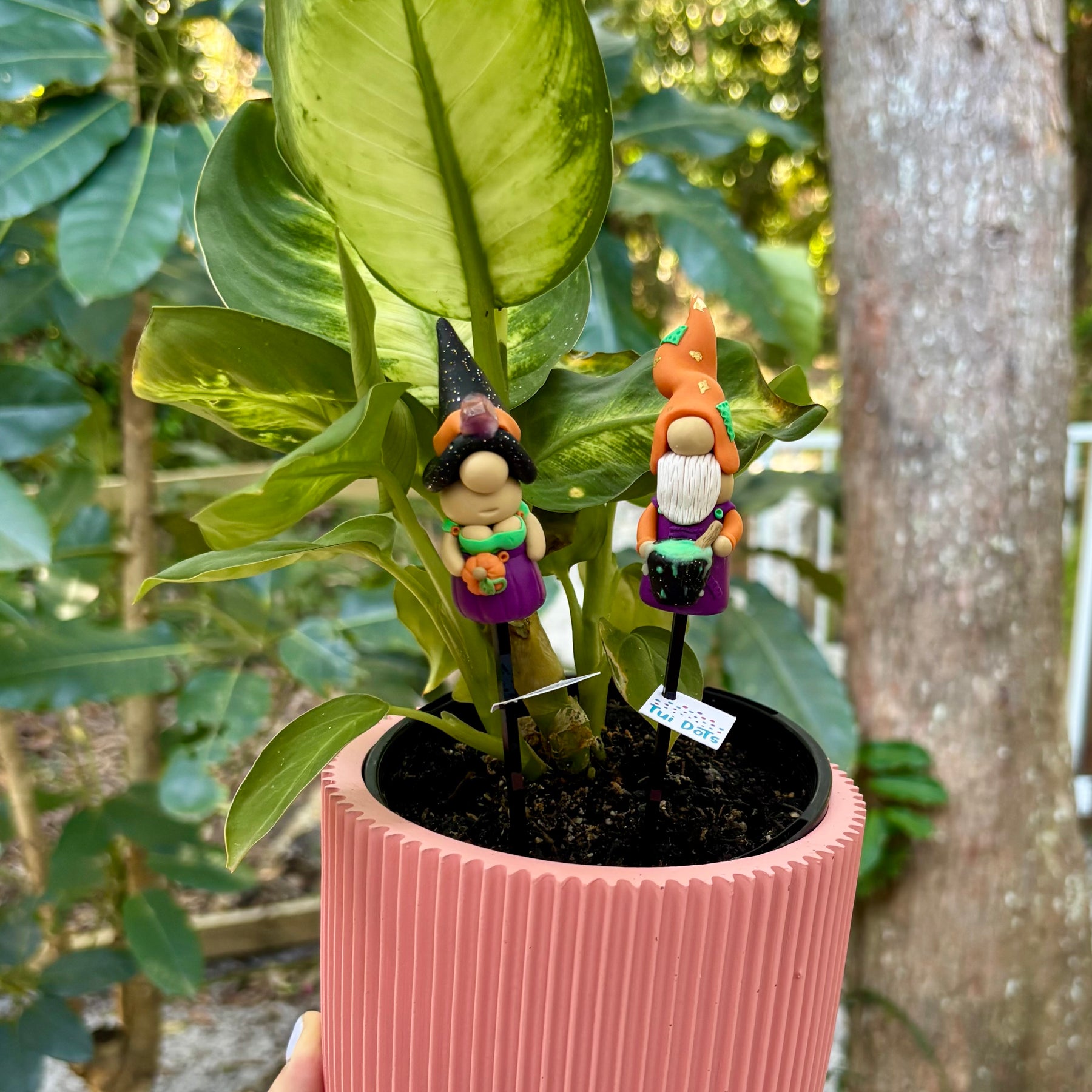 Halloween Tiny Gnomes - Spooky Couple