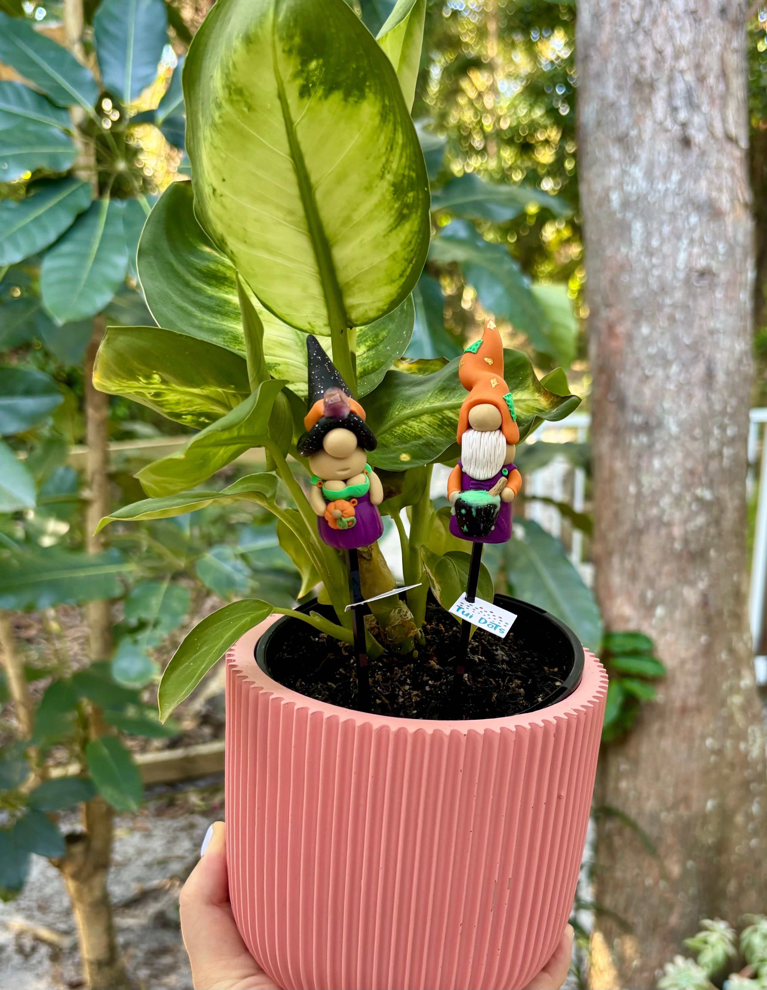 Halloween Tiny Gnomes - Spooky Couple