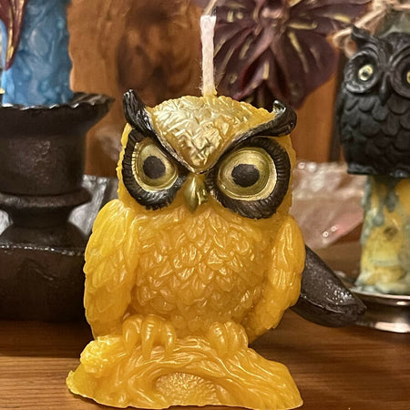 The Wise Owl Golden Intention Ritual Spell Altar Beeswax Candle