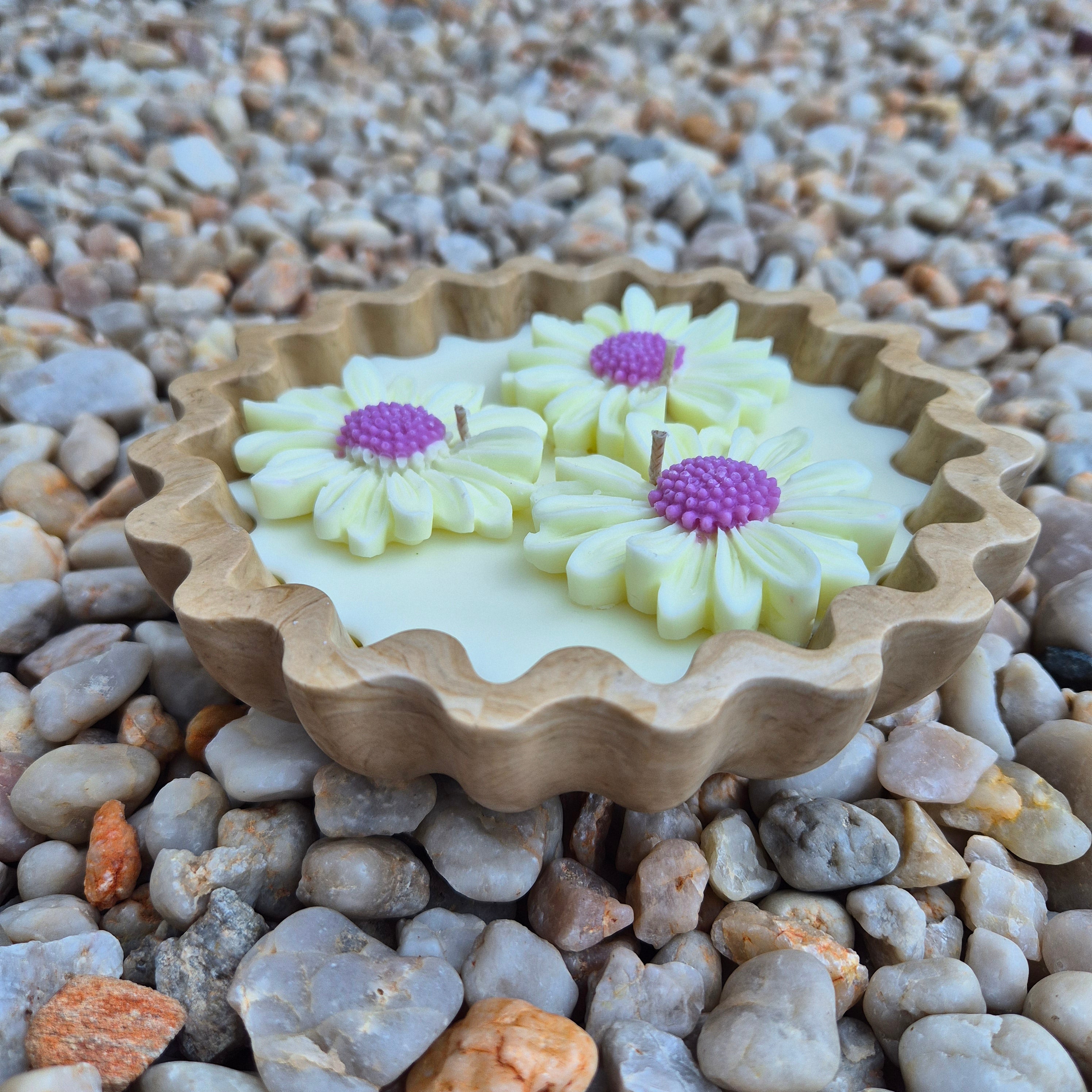Eco-concrete daisy bowl candle with rose and lavender