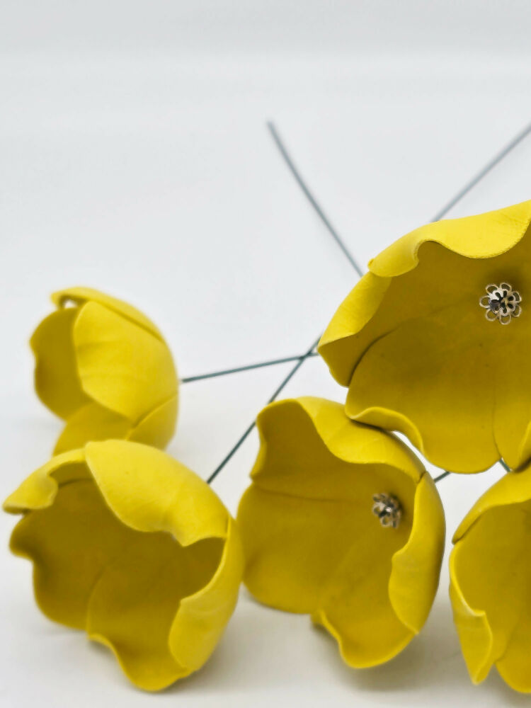 yellow-poppies-5