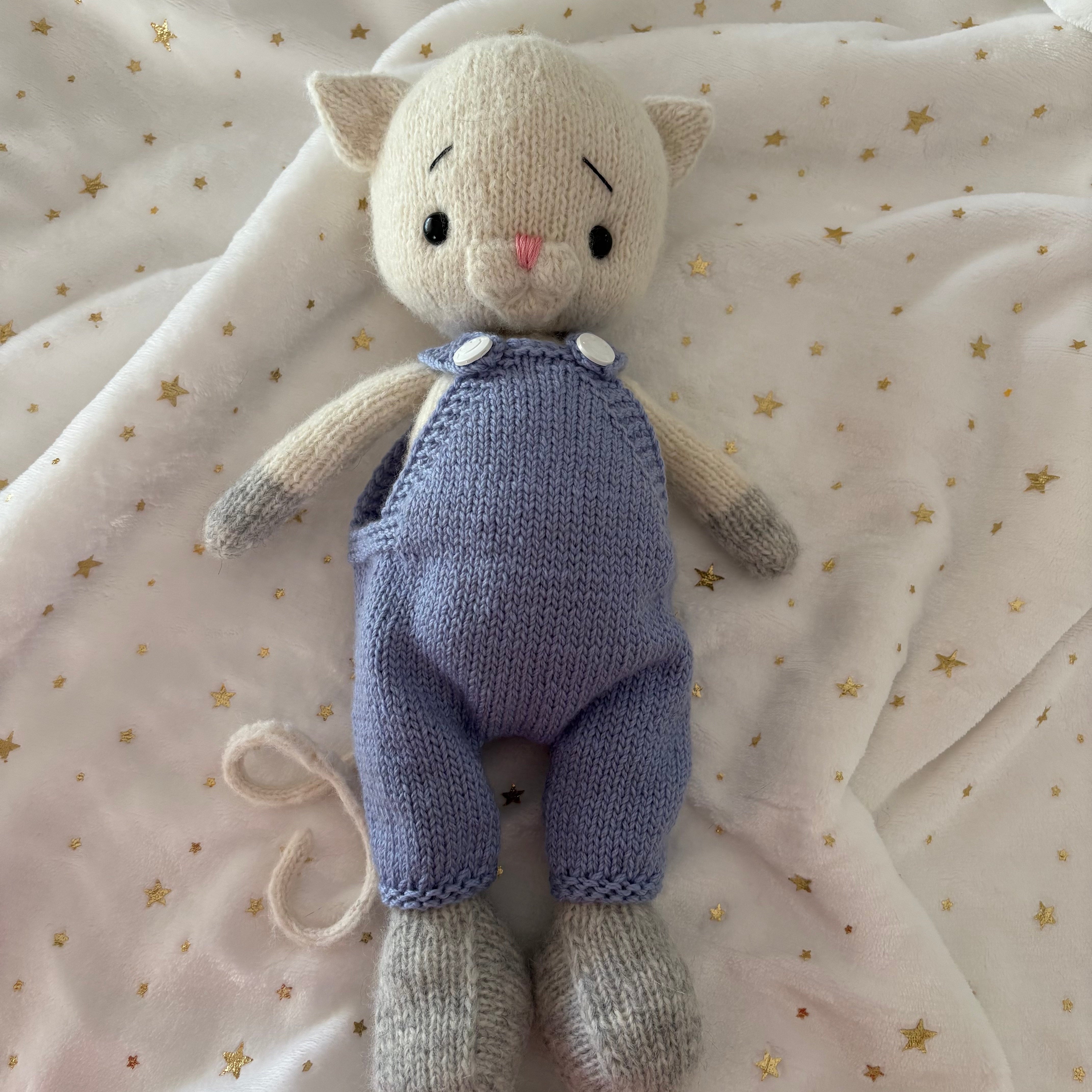 Fluffy cat in blue overalls