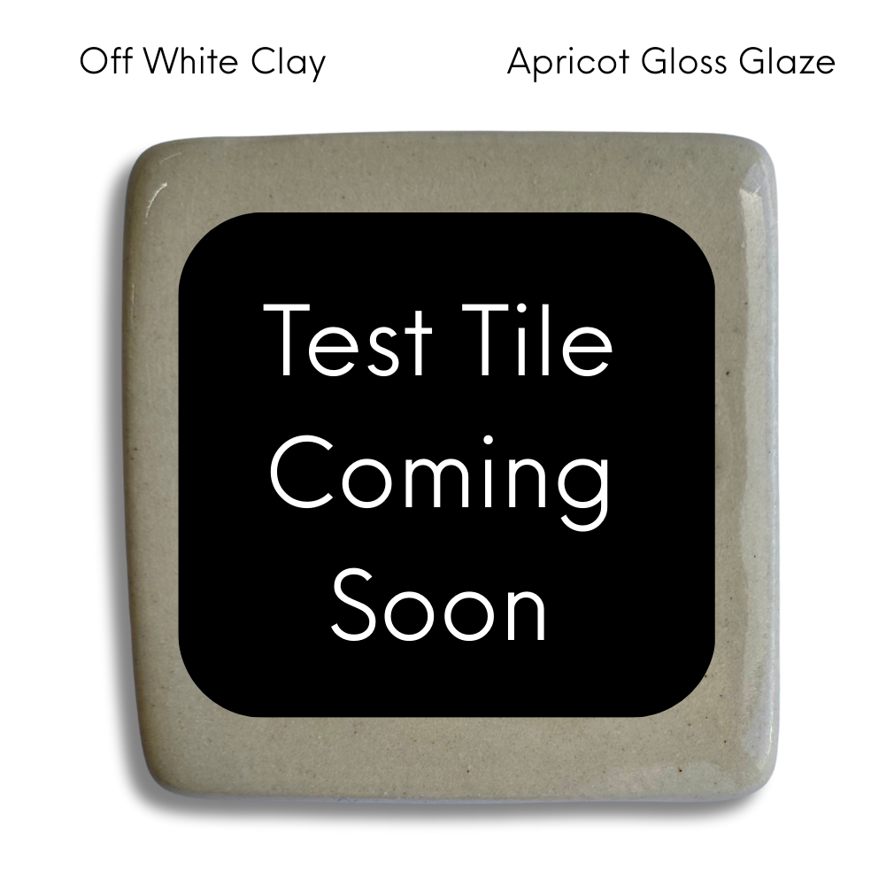 CUSTOM - Ceramic Garlic/Ginger Grater + Herb Stripper in Off White Clay