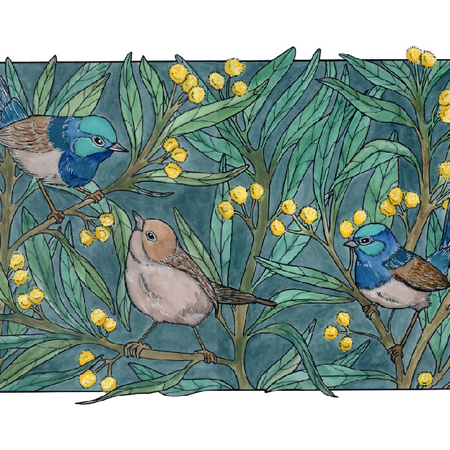 Fairy Wrens in the Wattle - Art Print A5