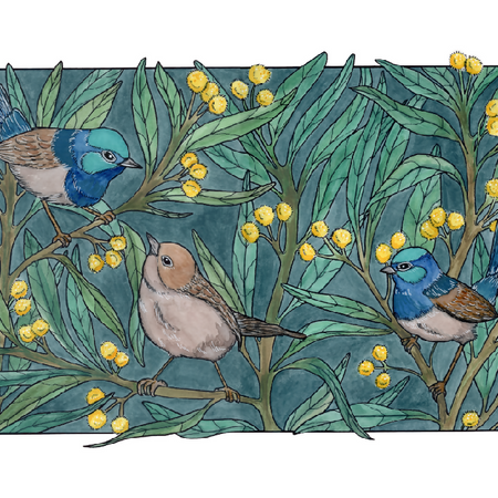 Fairy Wrens in the Wattle - Art Print