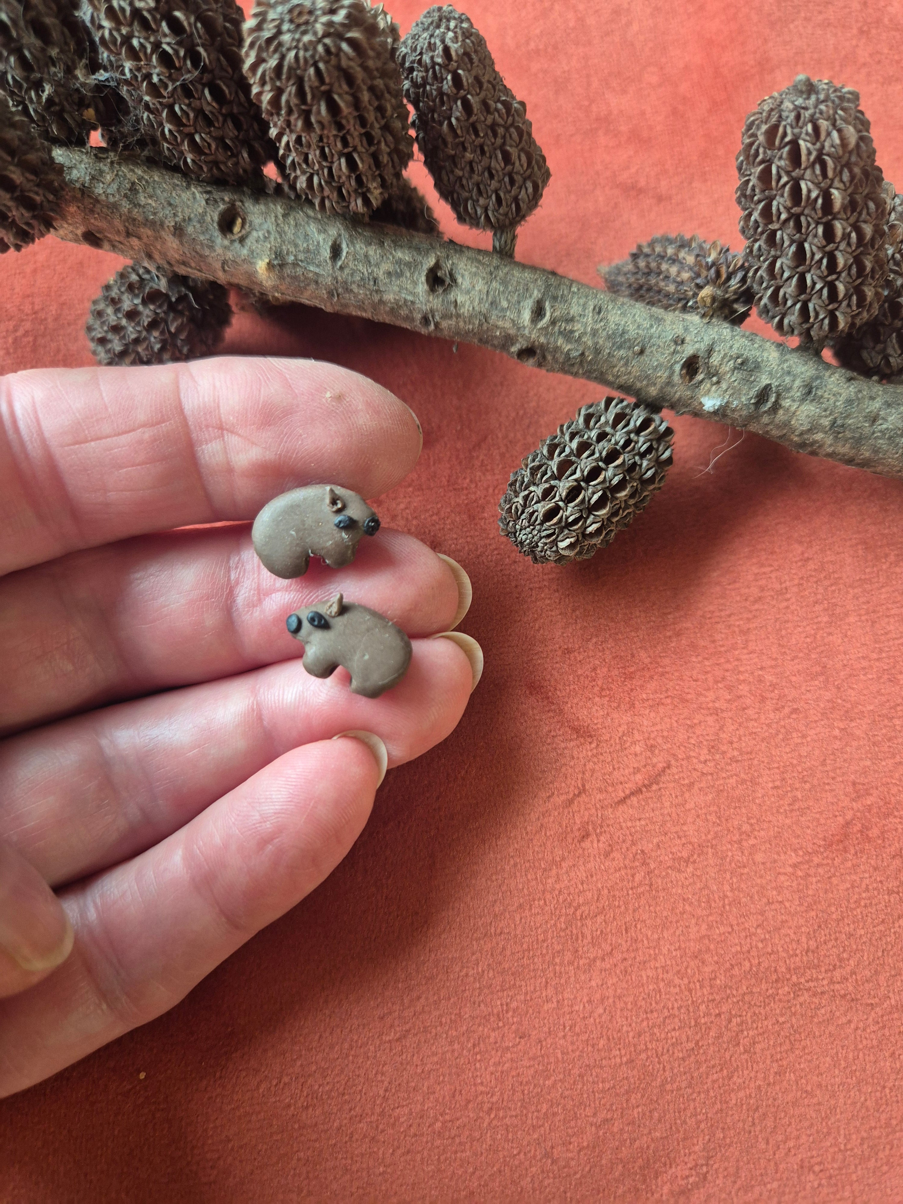 Wombat Earrings