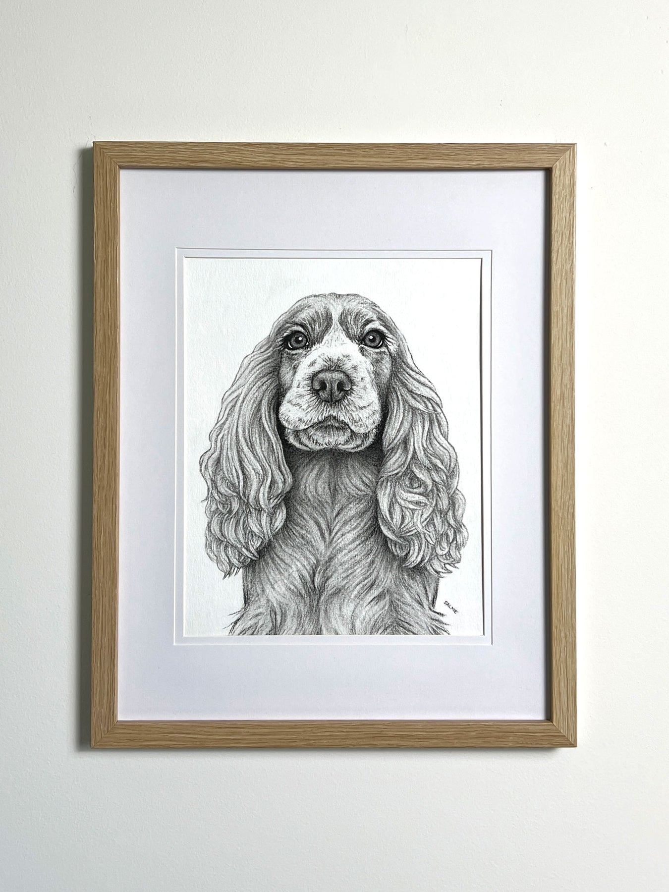 Cocker Spaniel