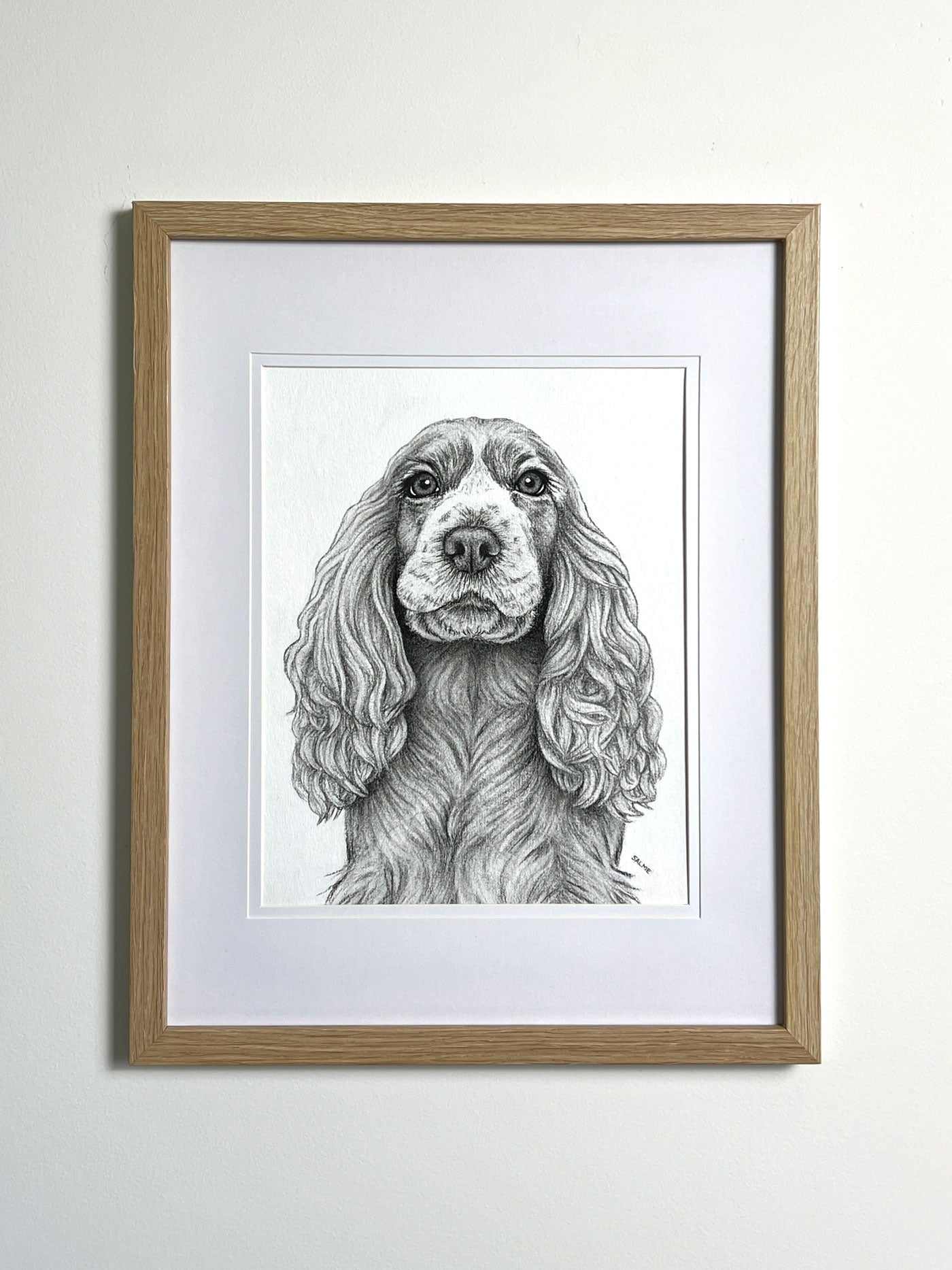 Cocker Spaniel