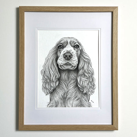 Cocker Spaniel