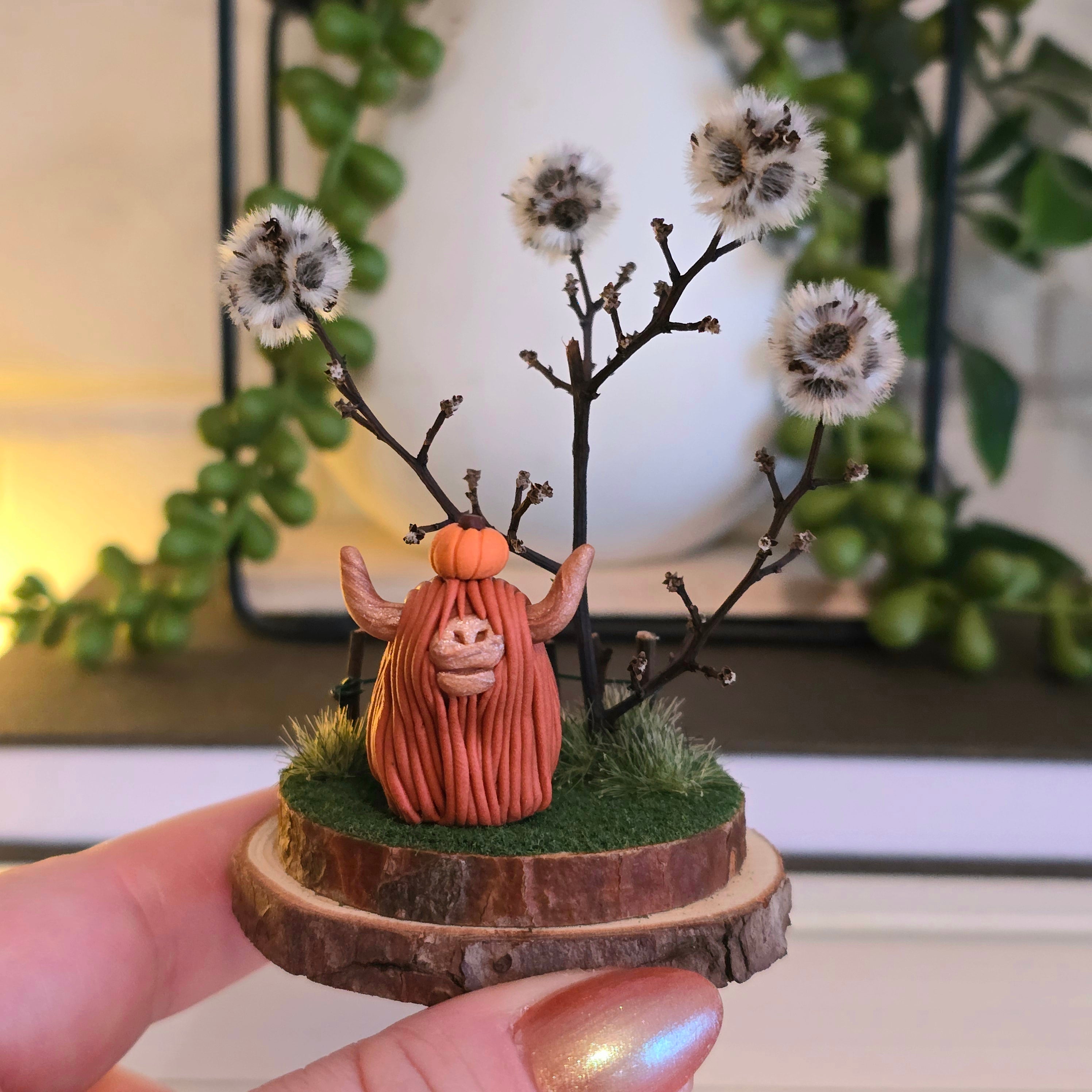 Highland Cow - Charlotte