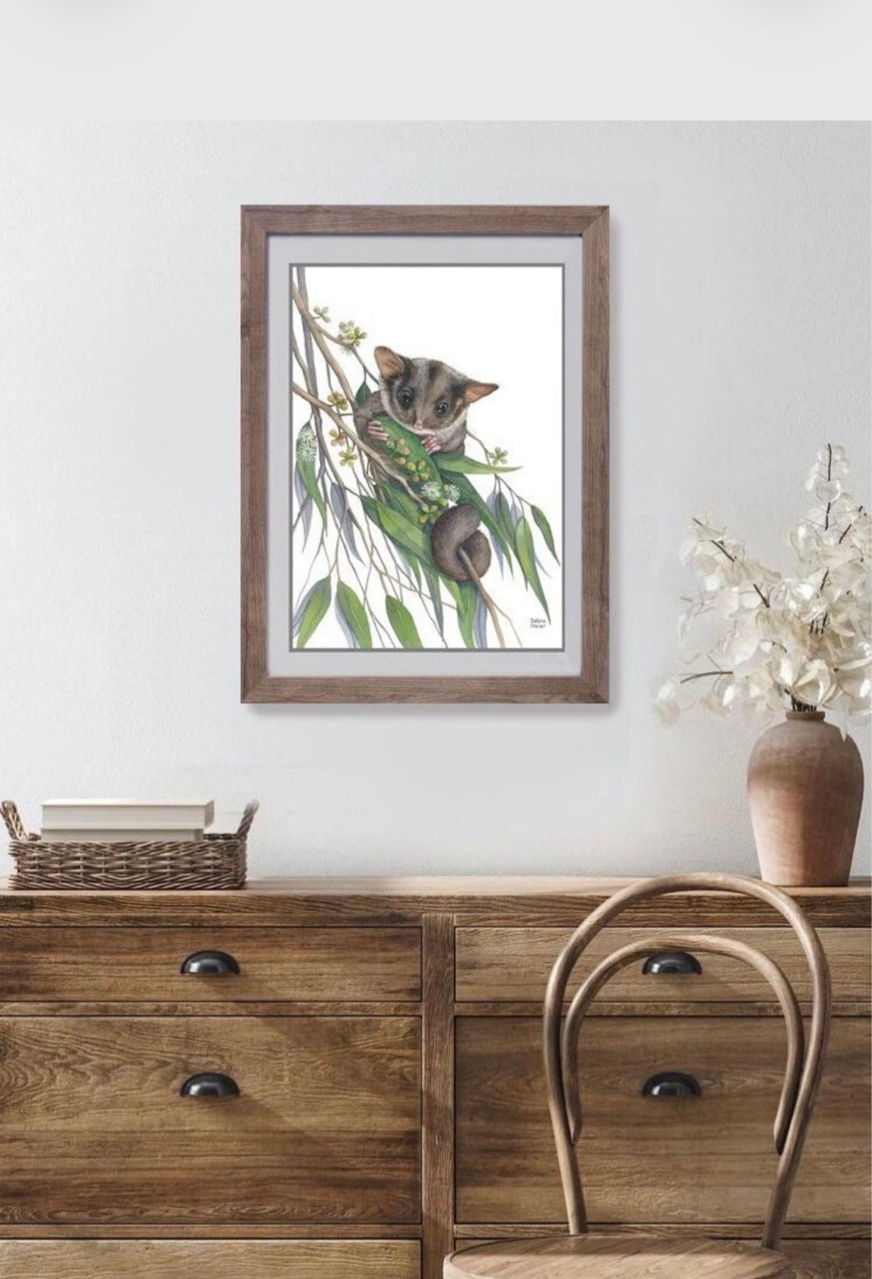 Leadbeaters Possum art print by Debra Meier Art