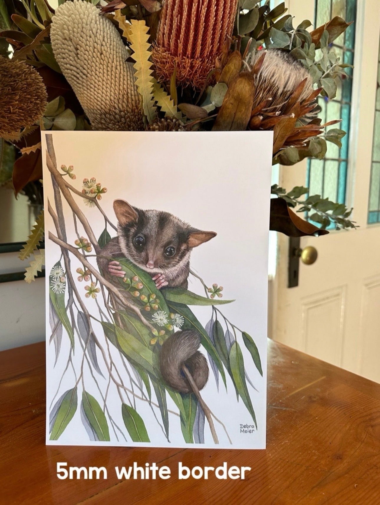 Leadbeaters Possum art print by Debra Meier Art
