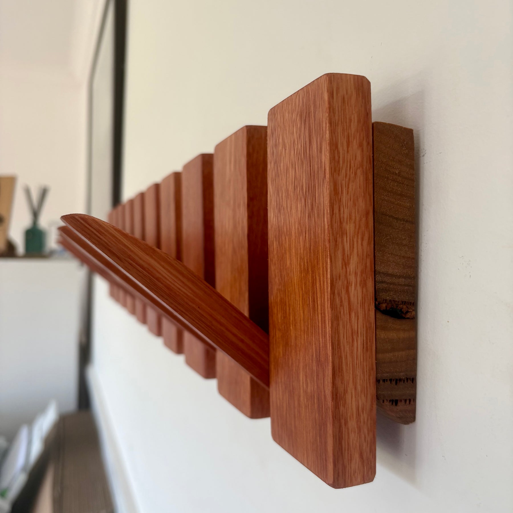 Karri horizon coatrack