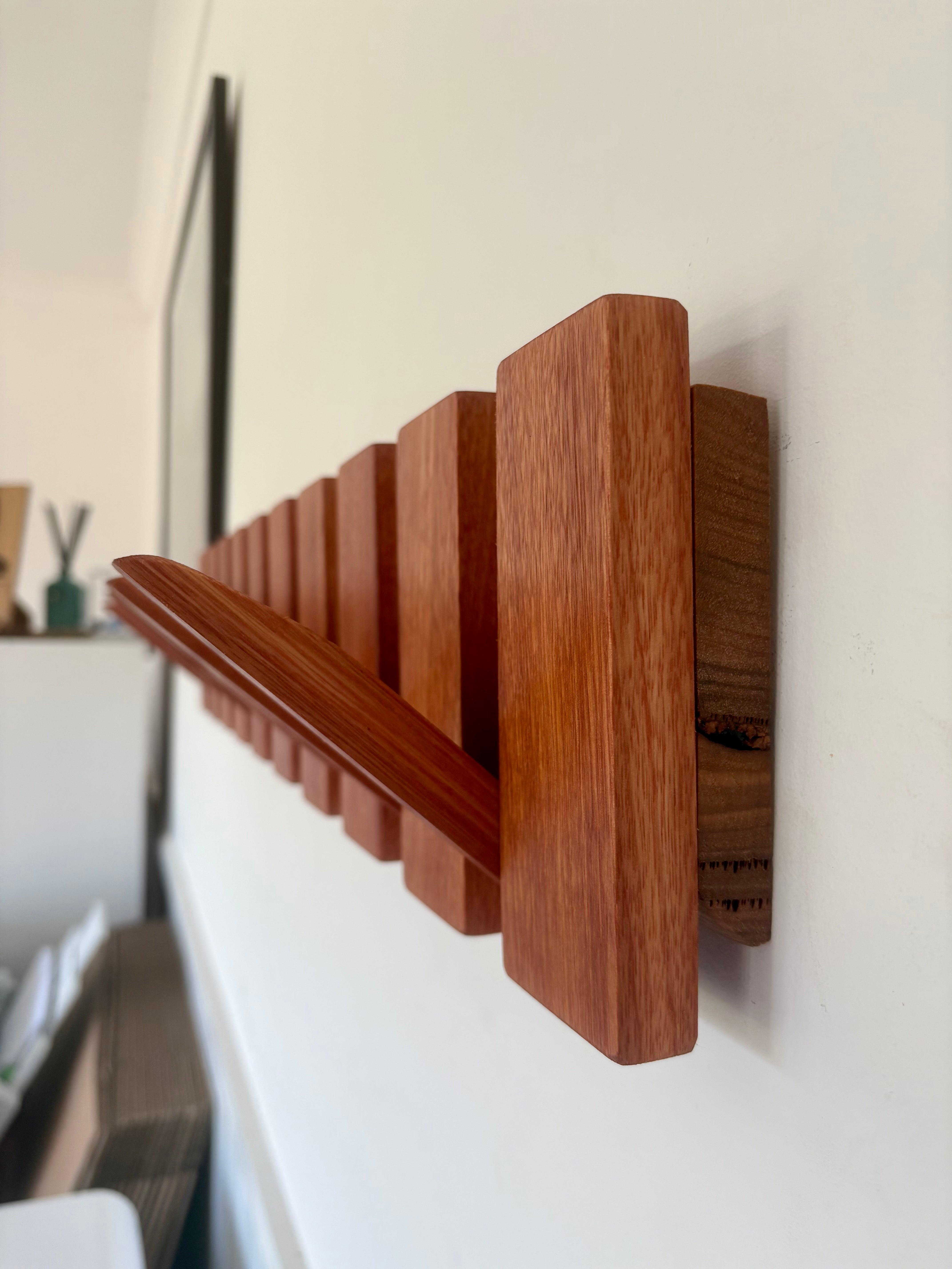 Karri horizon coatrack