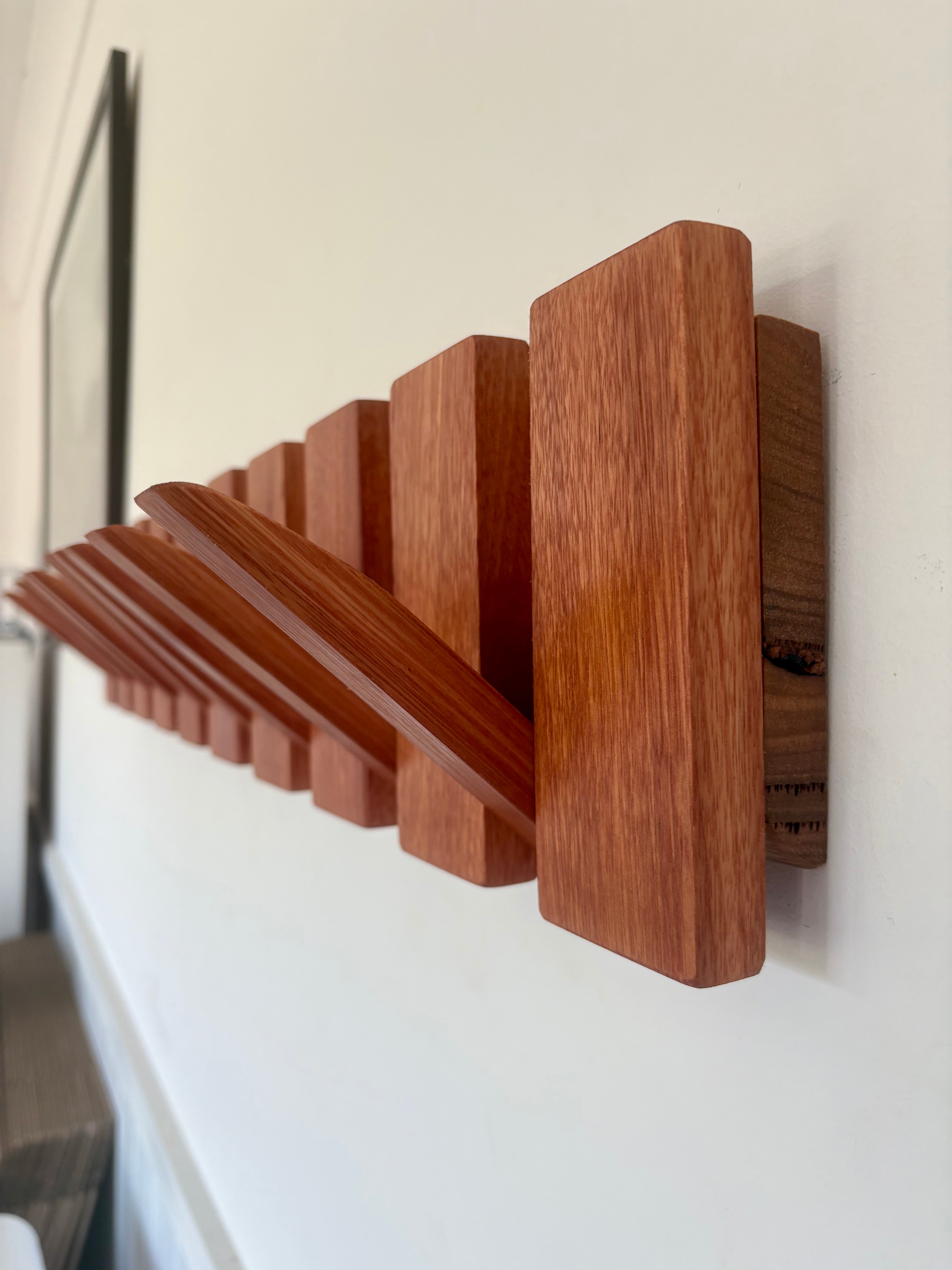 Karri horizon coatrack