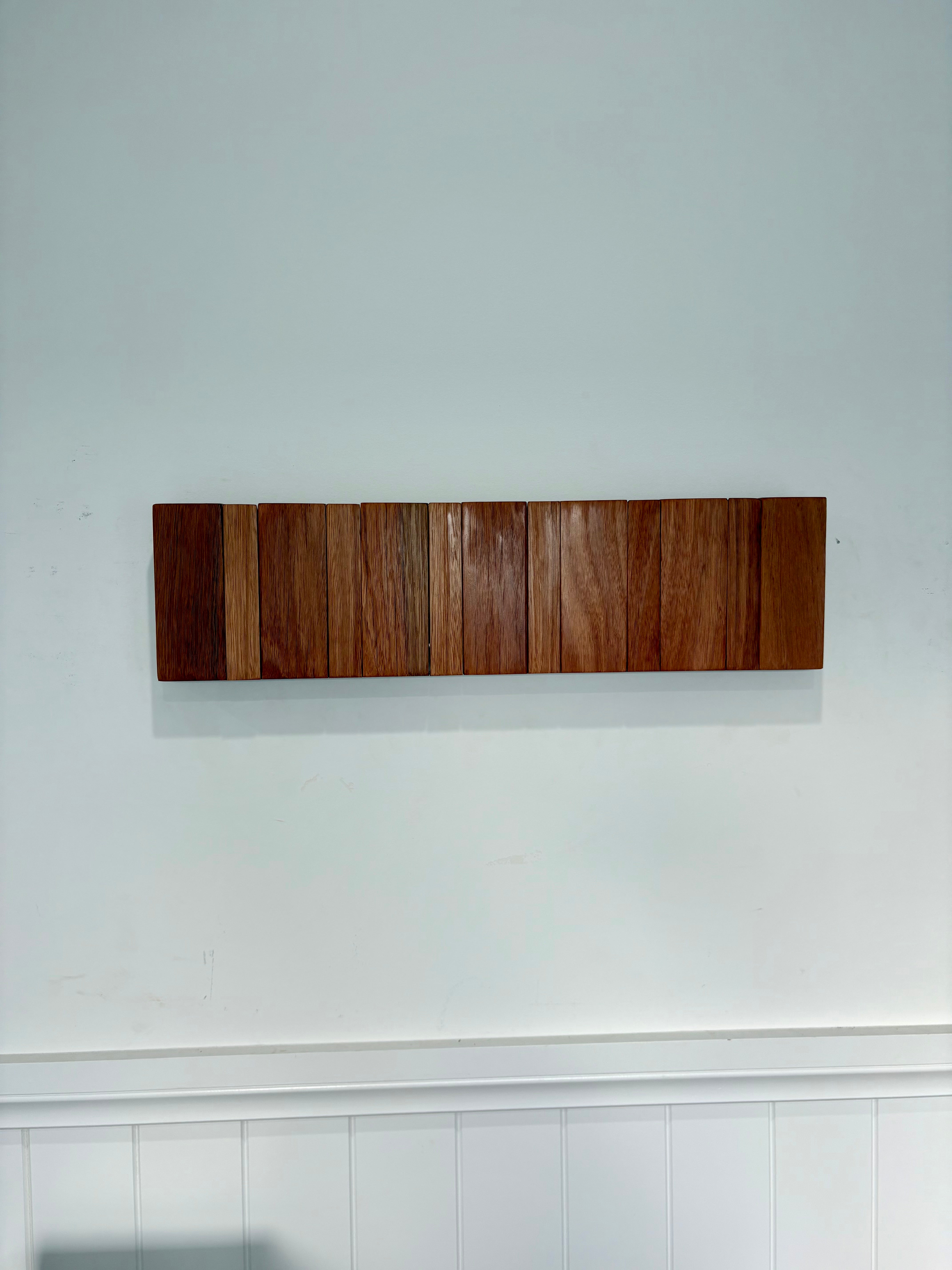 Karri horizon coatrack