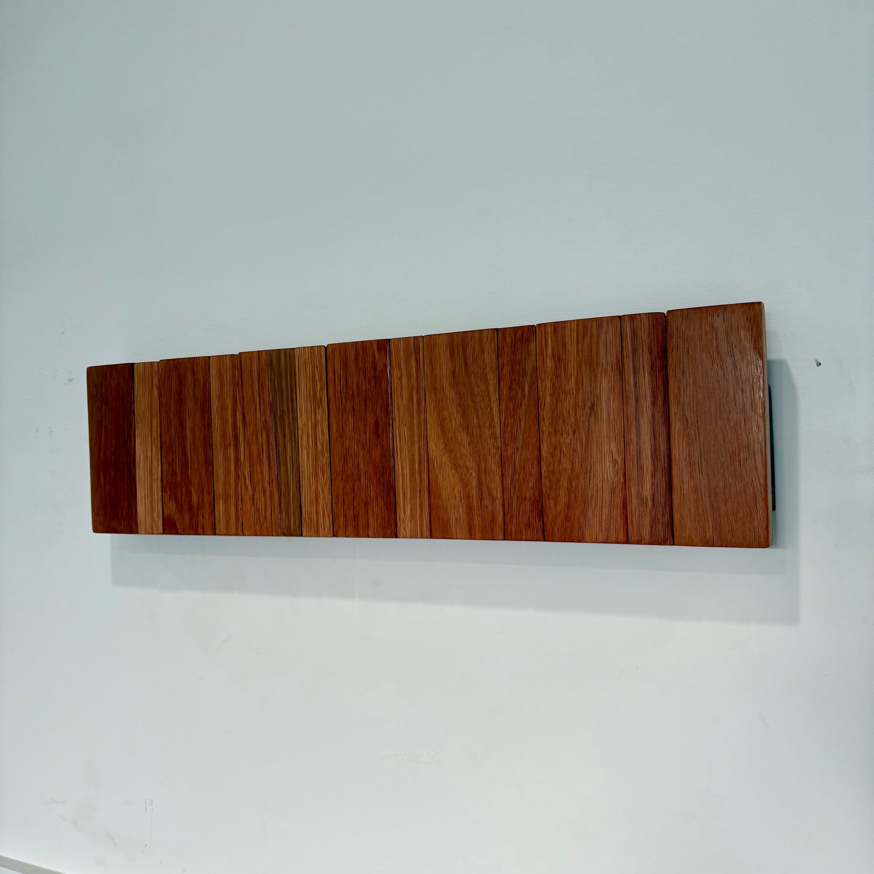 Karri horizon coatrack