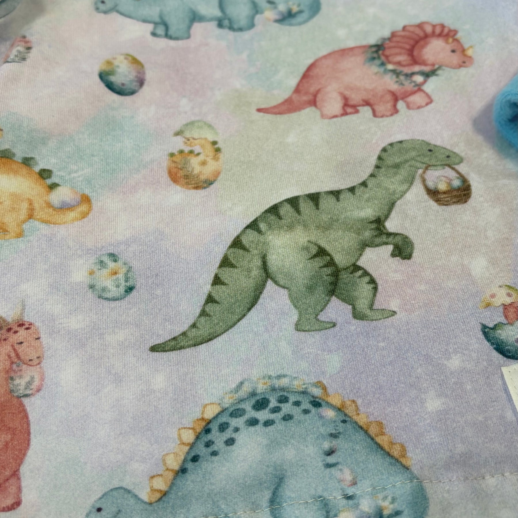 Dinos Unisex PJ’s Size 6-9 months dinosaurs pyjamas
