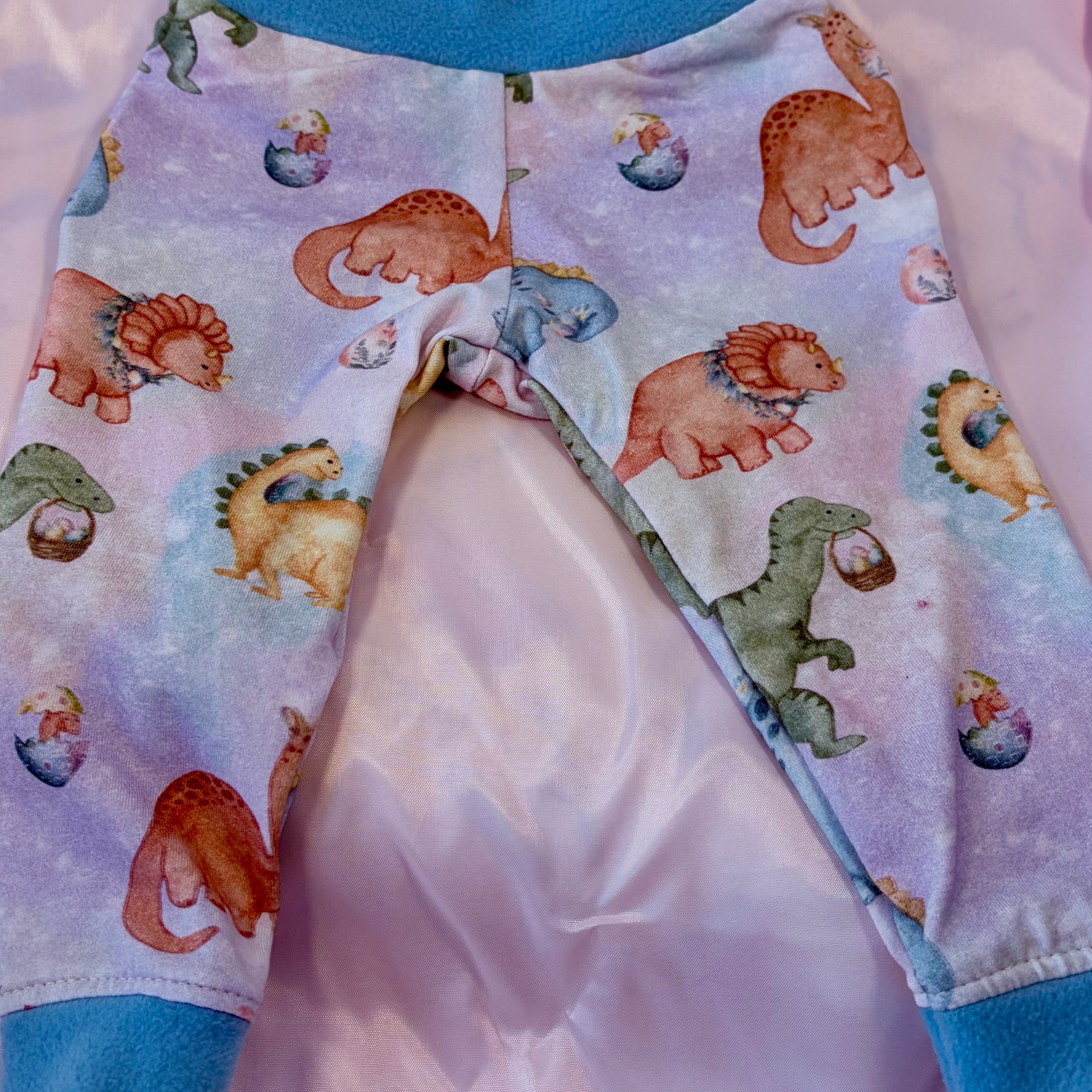 Dinos Unisex PJ’s Size 6-9 months dinosaurs pyjamas
