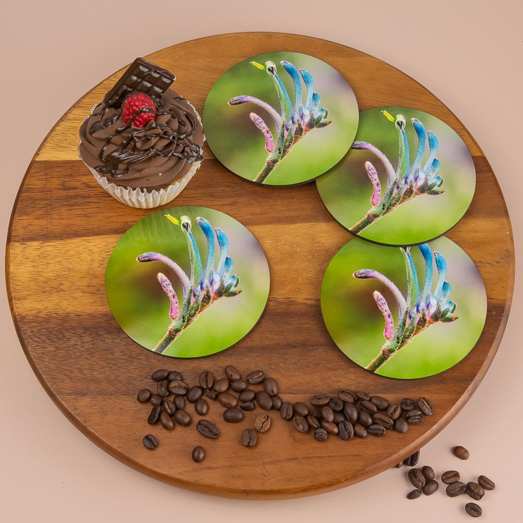 Coasters - Set of 4 - Australian Native Flora and Fauna - Photographic Artworks