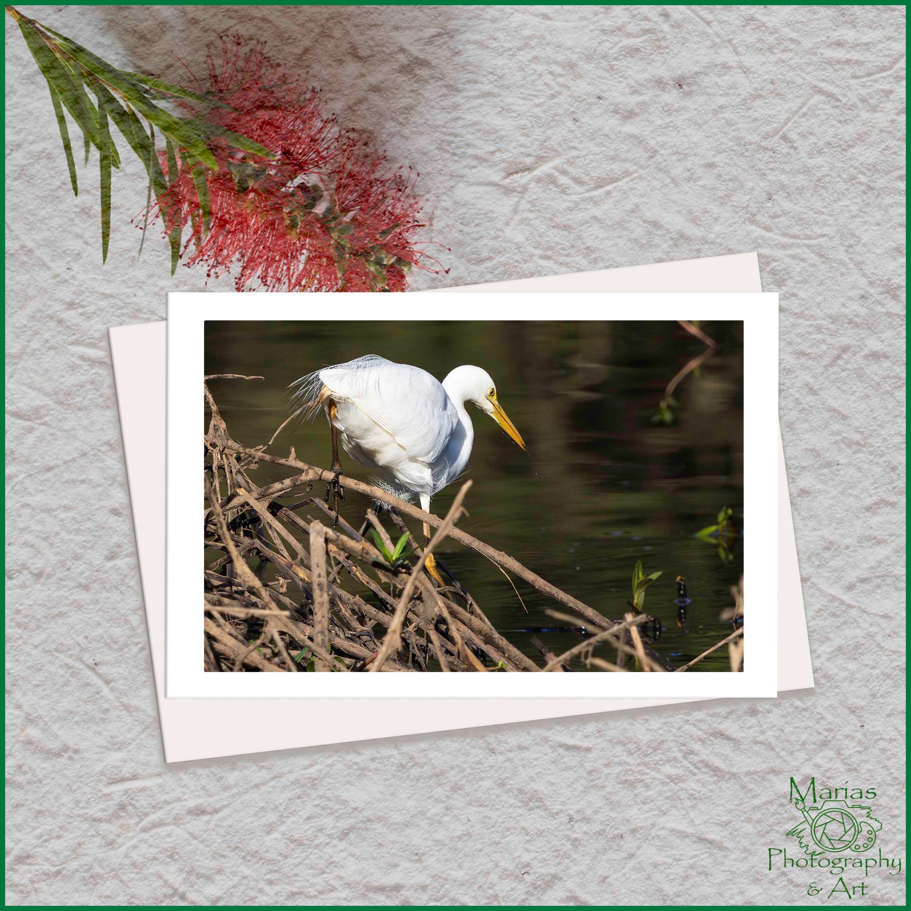 Blank Greeting Card - 'A fishing we will go' - Great Eastern Egret