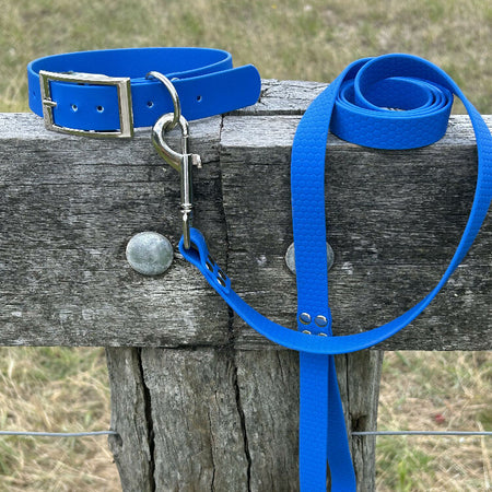 DOG COLLAR AND LEAD SET WATERPROOF BRIGHT STRONG