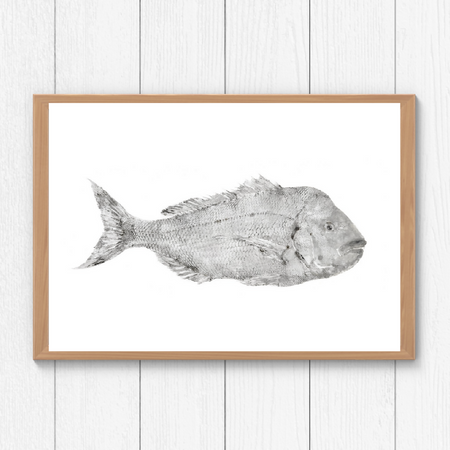 Gyotaku Fish Print Wall Art - Snapper