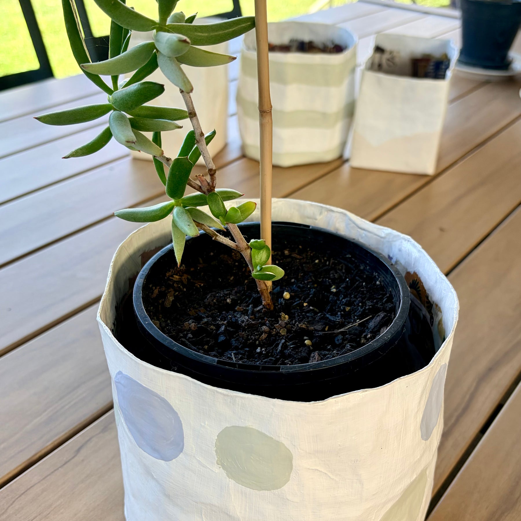 Papier-mâché Plant Pot