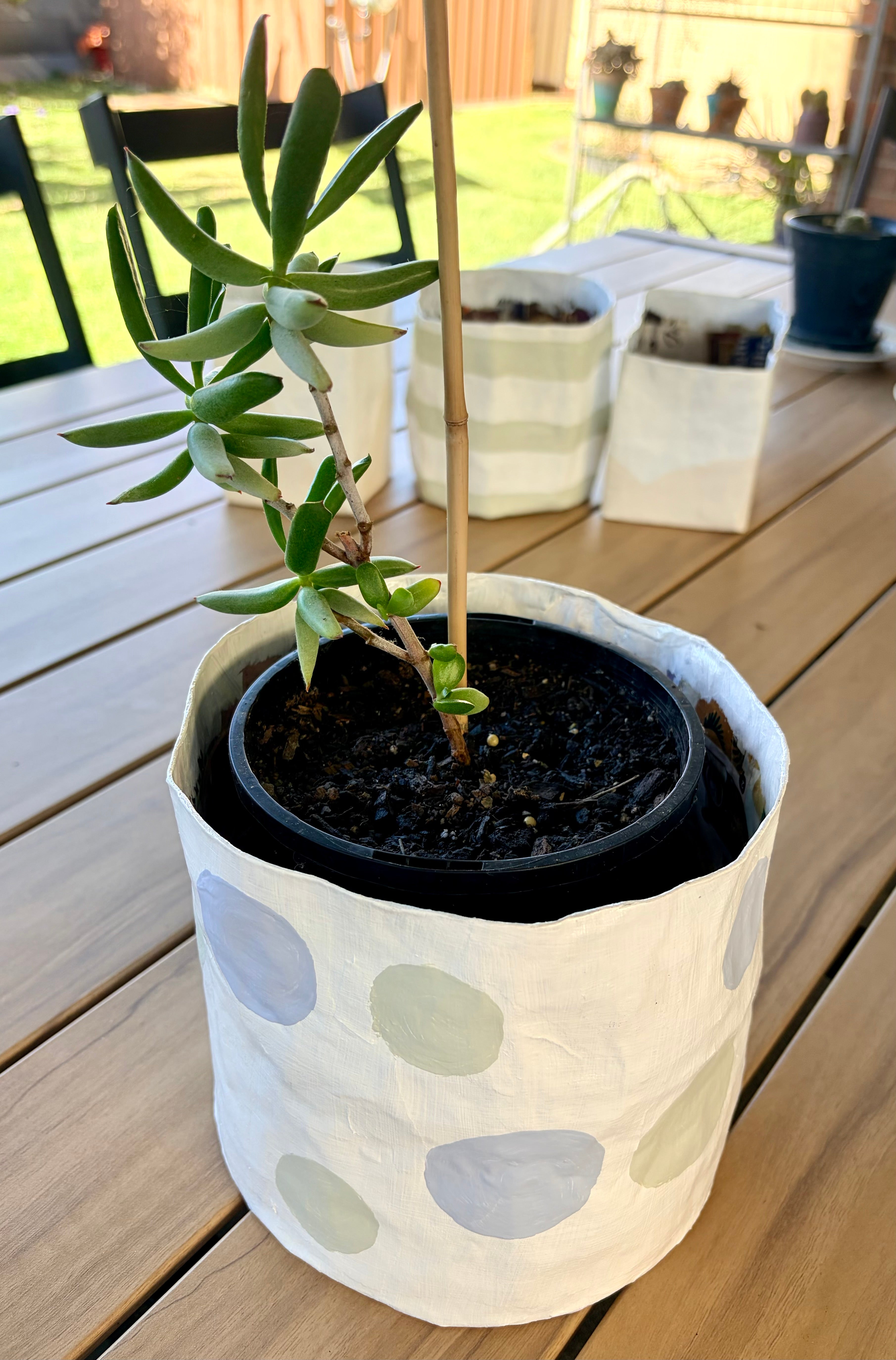 Papier-mâché Plant Pot
