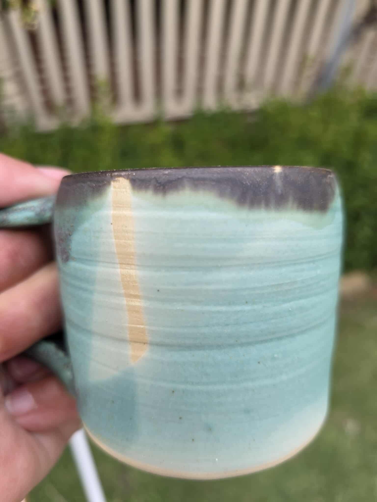 Coffee Mug | After the Storm