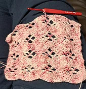 Wrap It Up Scarf - "Where is the Pav"