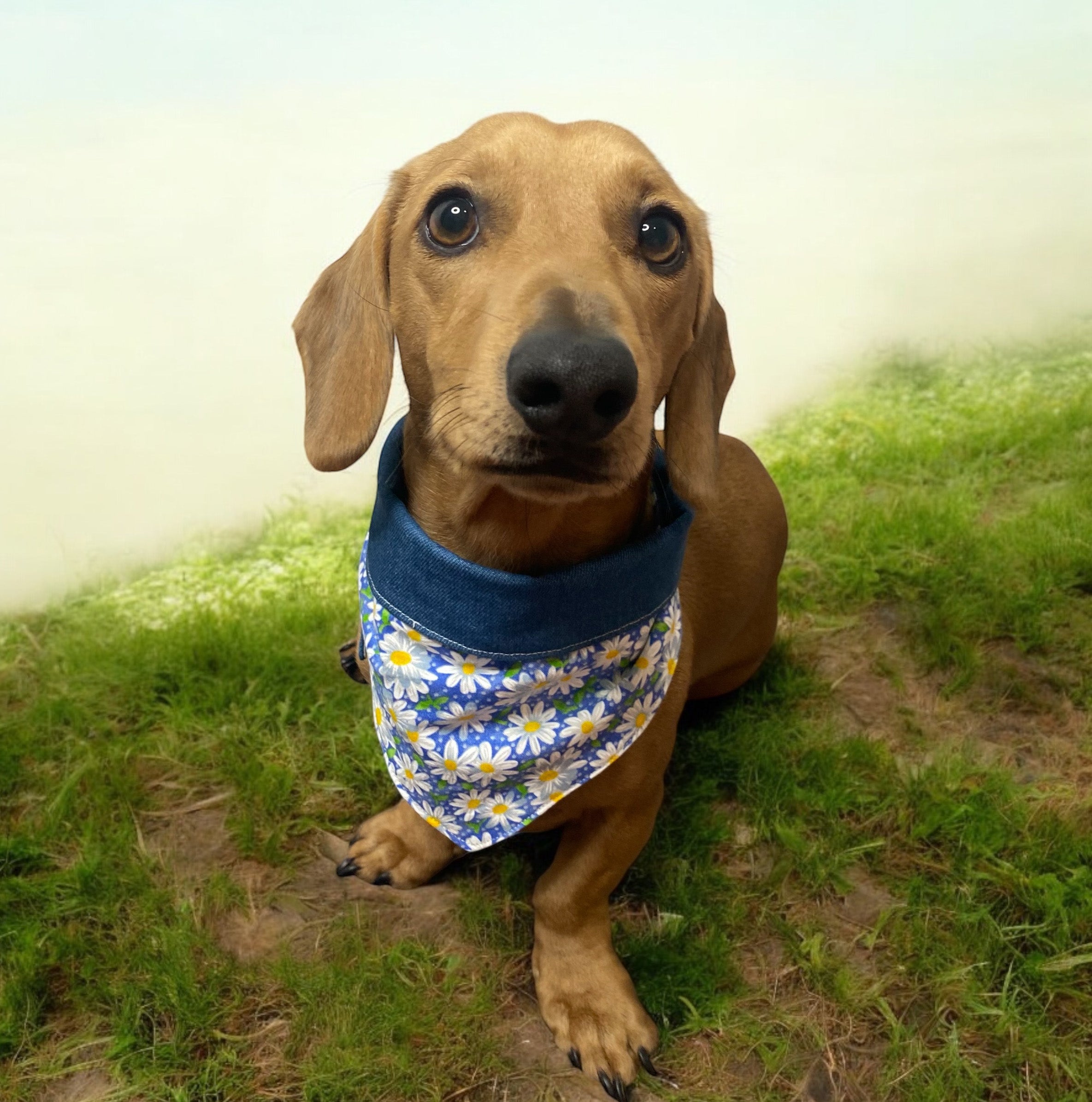 Bandana - Tie up or Collar fit for dog, puppy or Kitten, Handmade Pet clothing/costume