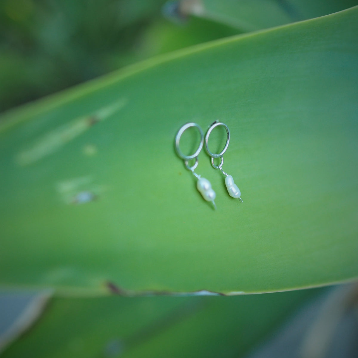 Circle + Pearl Earrings | Sterling Silver | Freshwater Pearls