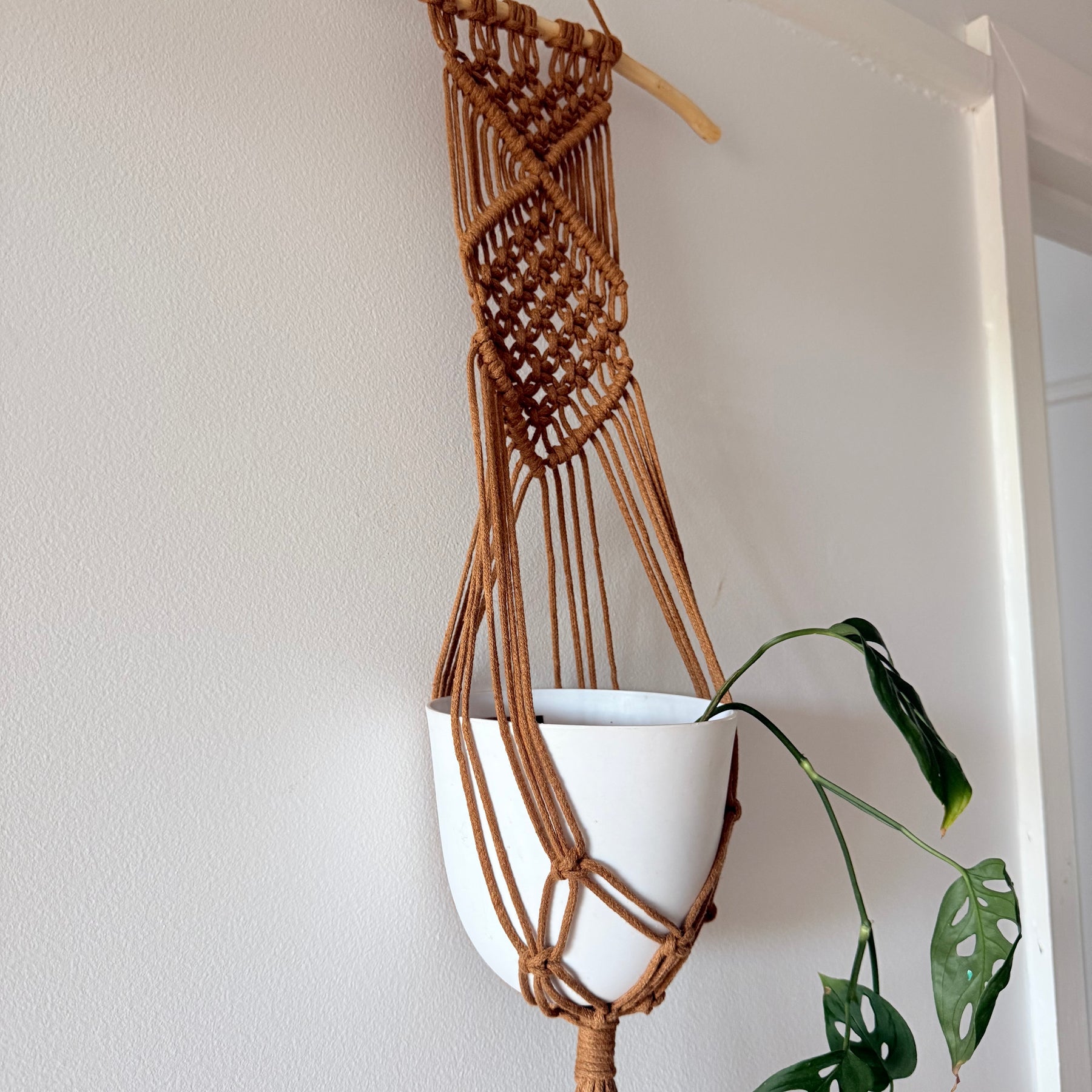 Macrame Plant Hanger - Rust