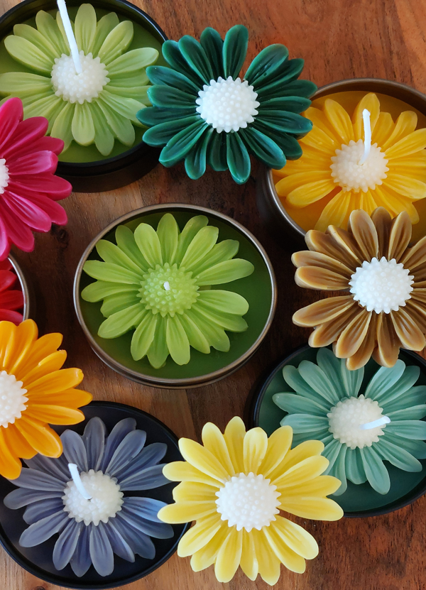 Scented Soy Candles - Daisy Glow Collection