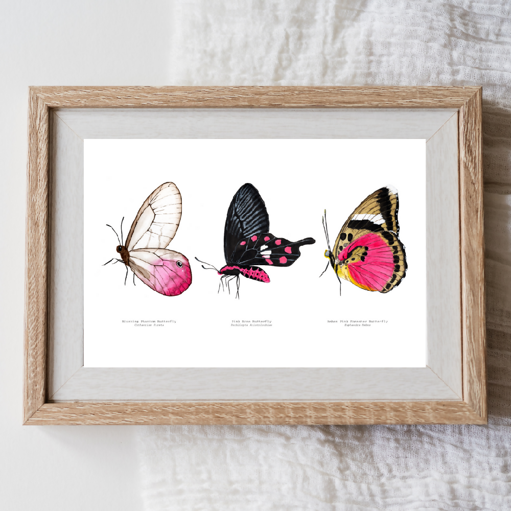 art print - the fauna series  pink butterfly trio