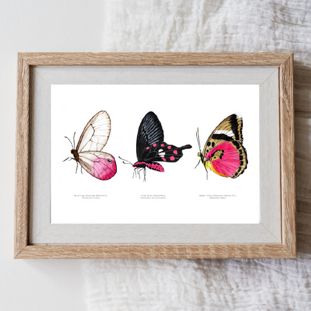 Watercolour Art Print - The Fauna Series - 'Pink Butterfly Trio'