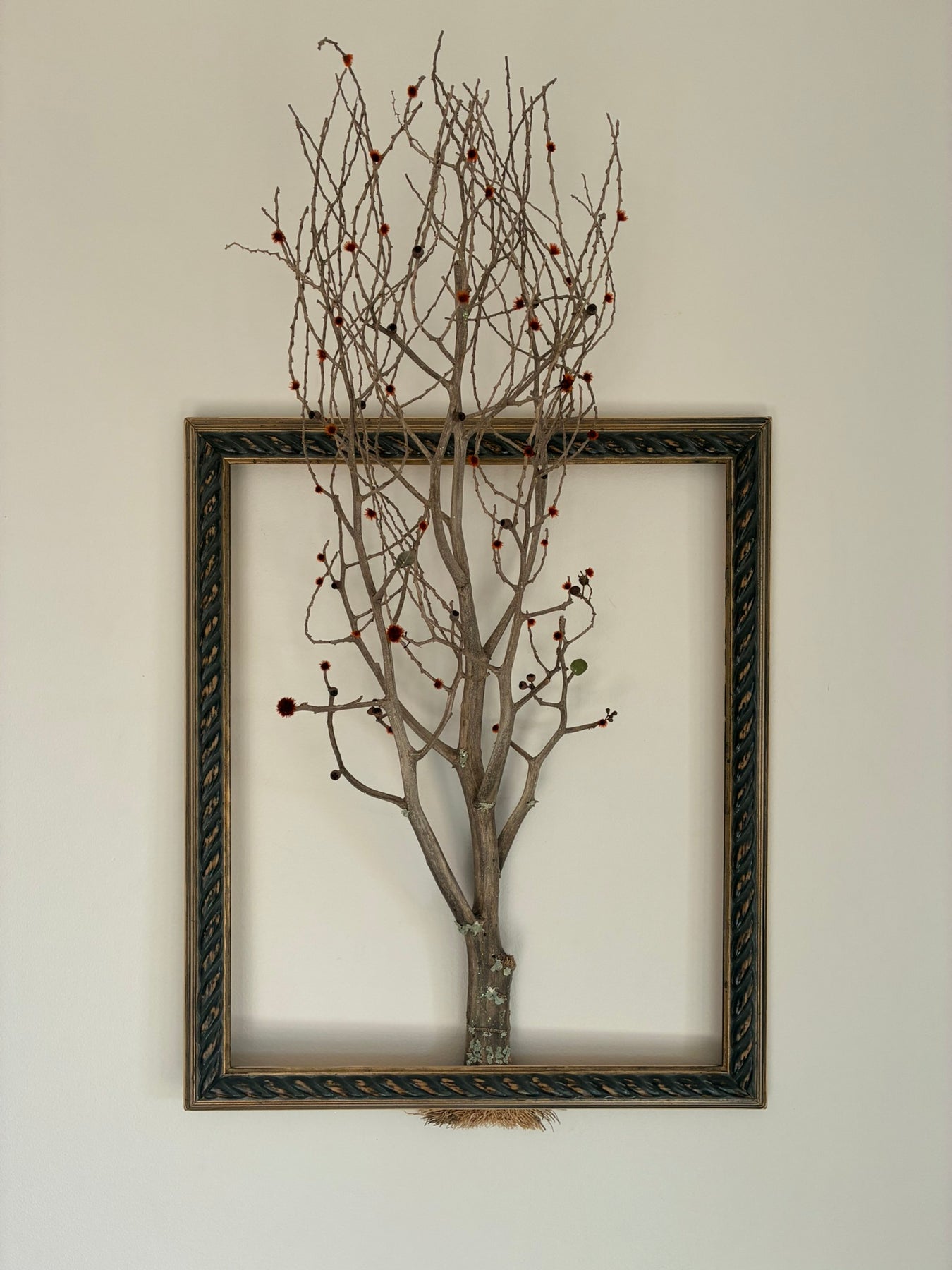 Framed Tree of Life ~ "Flame Tree"
