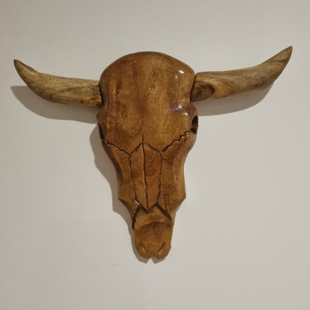 Hand carved timber longhorn skull wall art