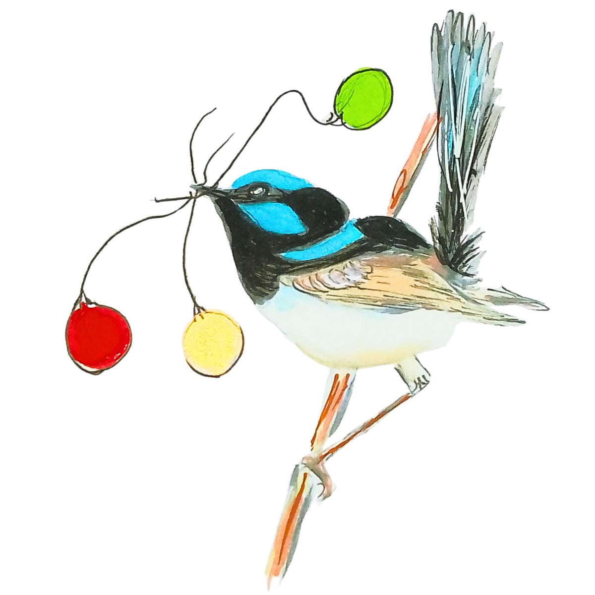 Blue Wren Unique Christmas Cards - 4 designs