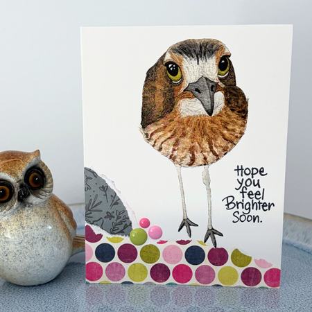 Curlew 