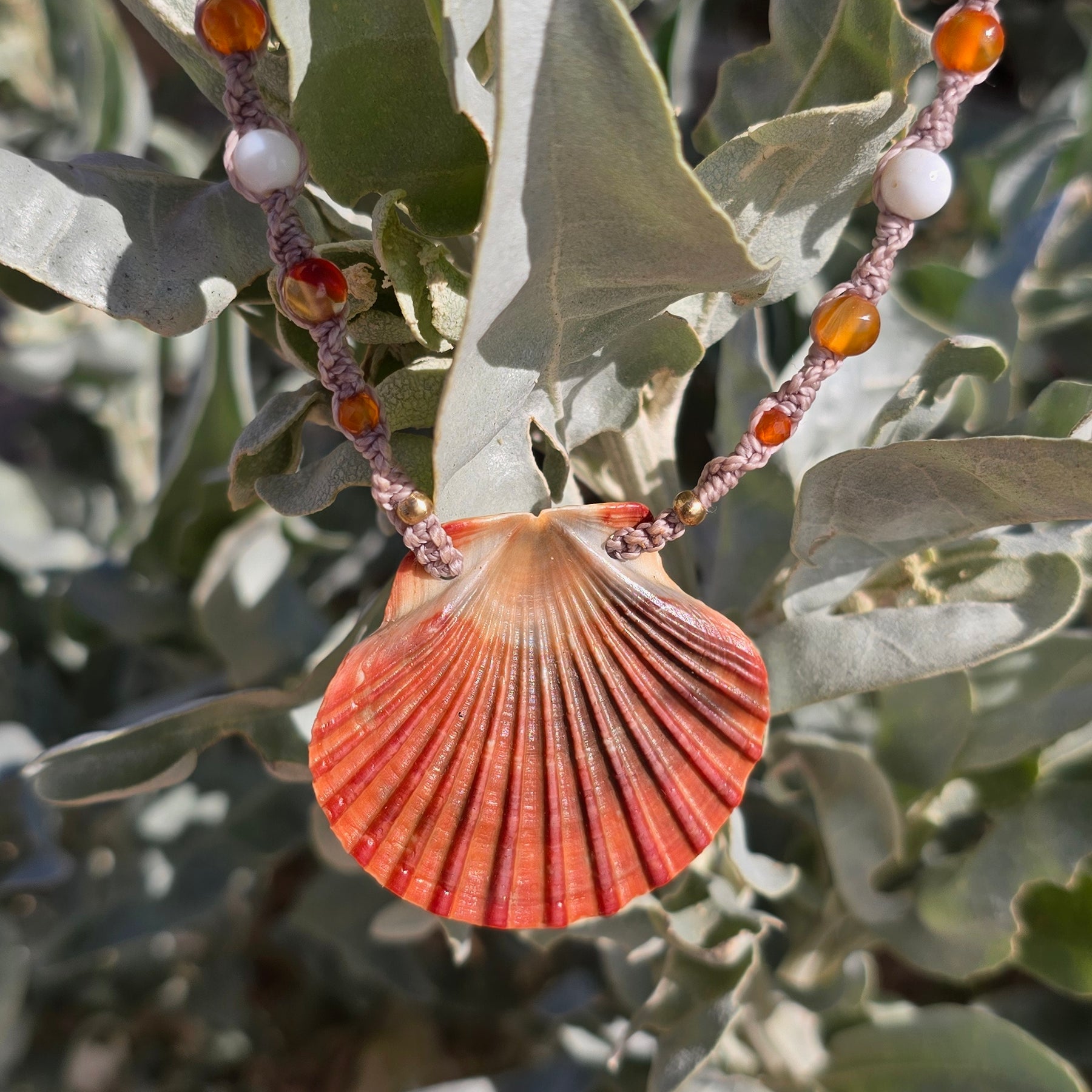 Scallop Shell Necklace with Carnelian & Shell Beads