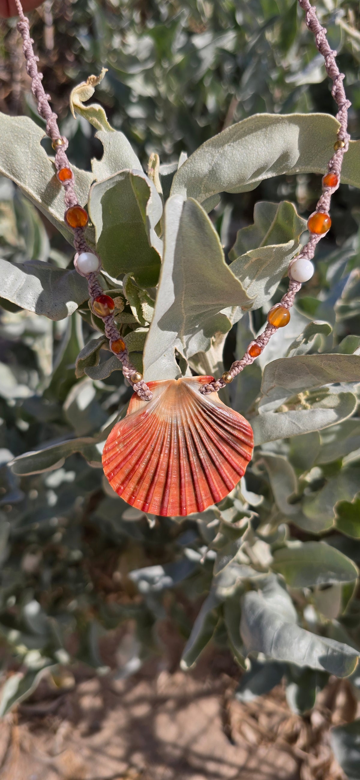 Scallop Shell Necklace with Carnelian & Shell Beads
