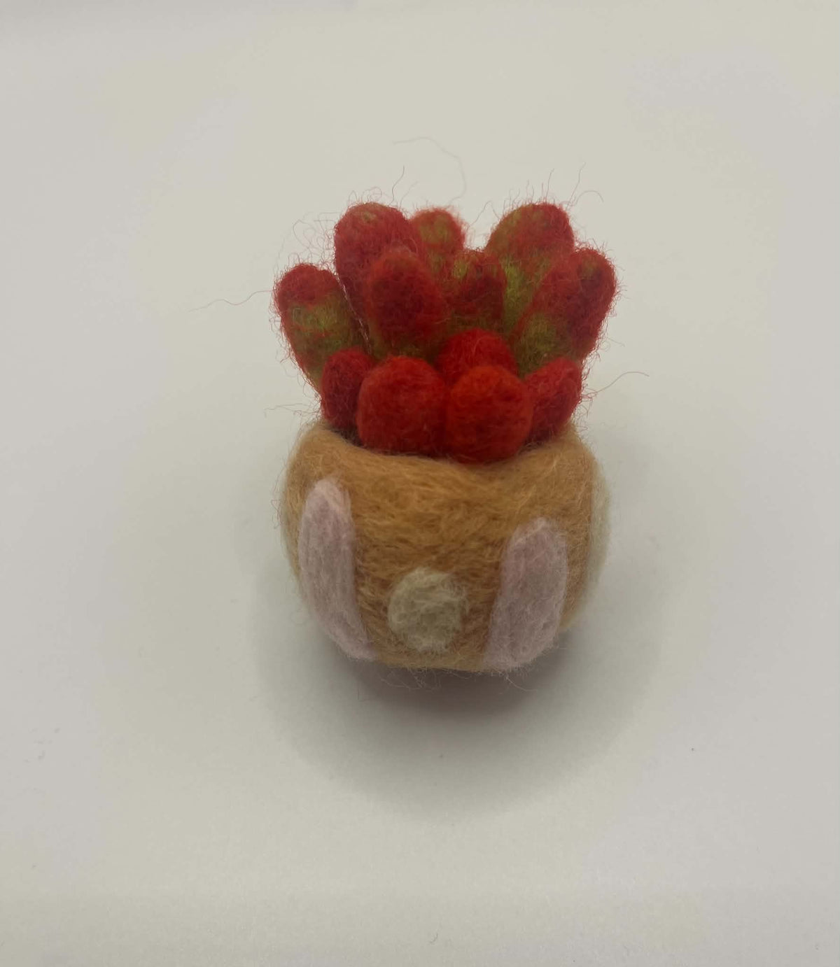 Needle felted succulent
