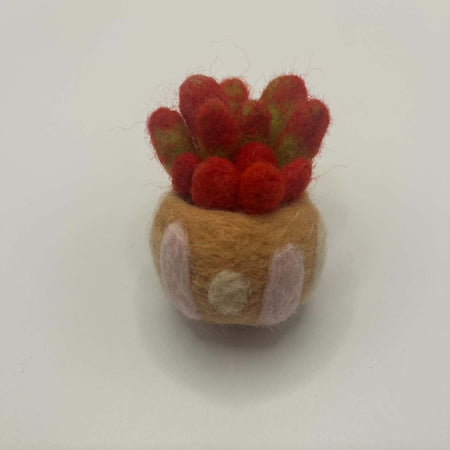 Needle felted succulent