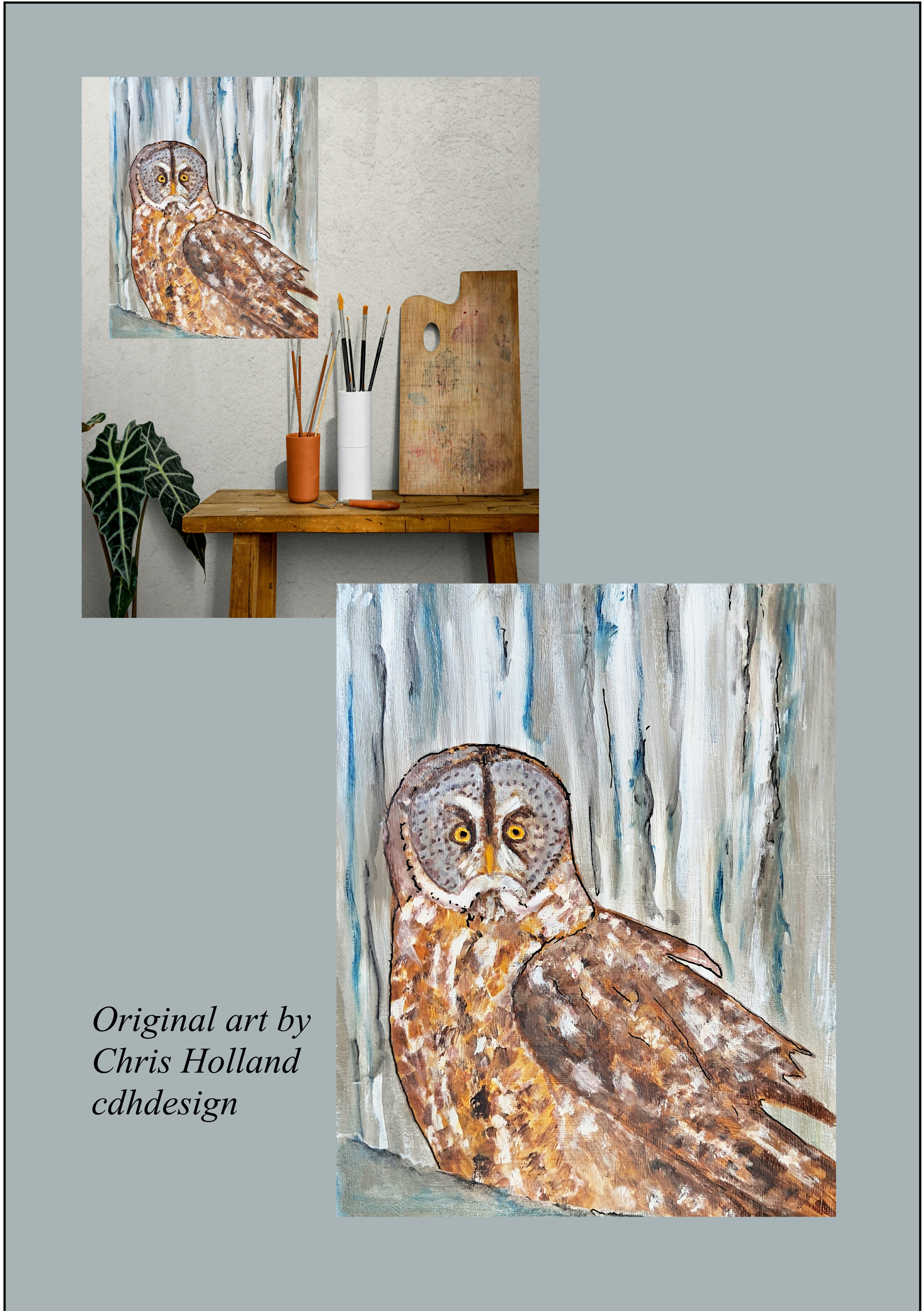 Owl Barred Owl Original Painting