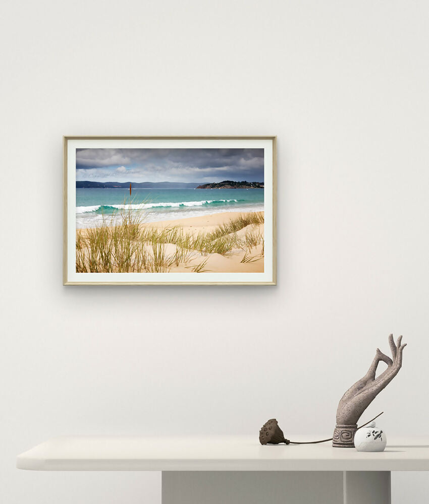 EDEN-1024x870-WEB