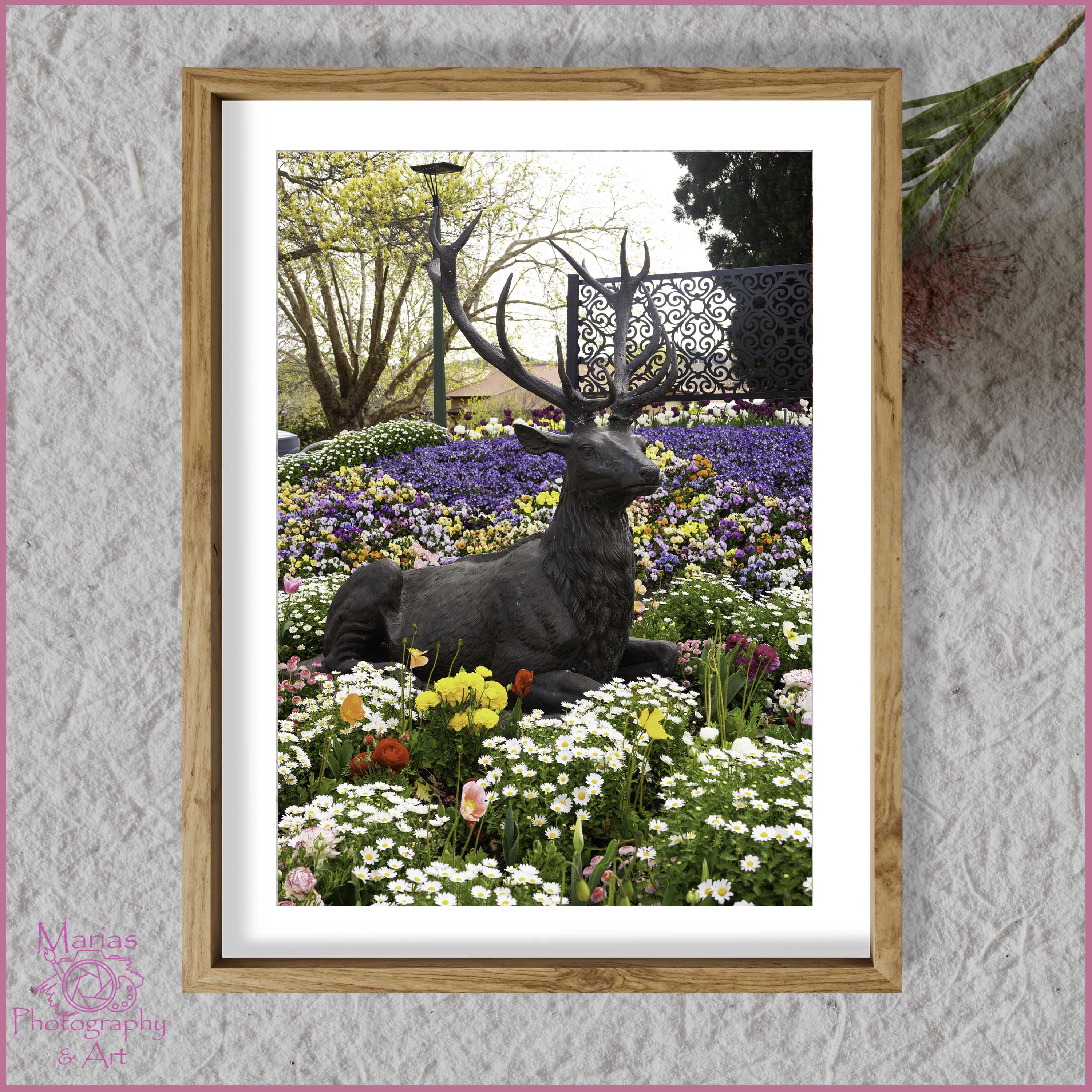 Photographic Print | Wall Art | Flowers