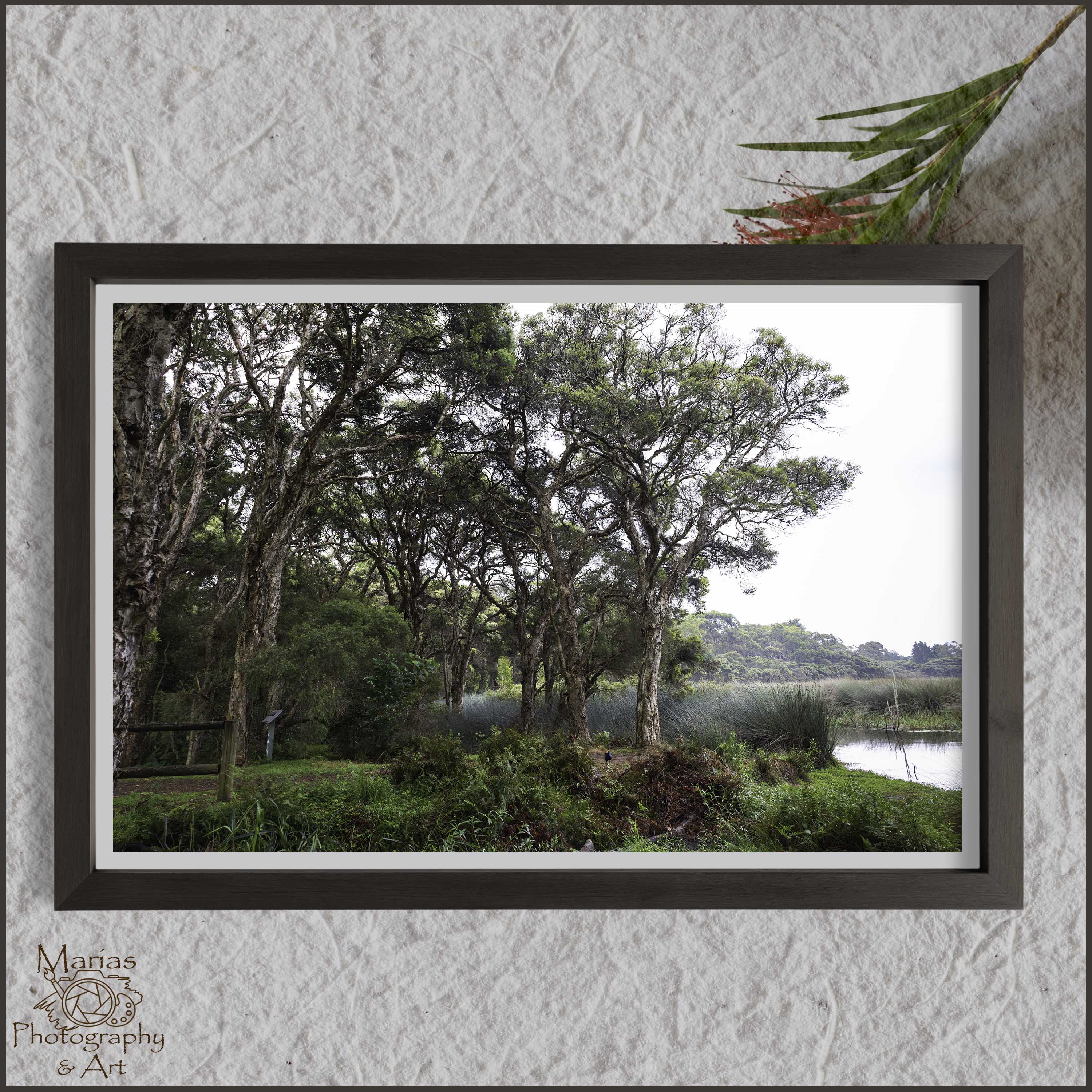 Photographic print | Wall Art | Serenity