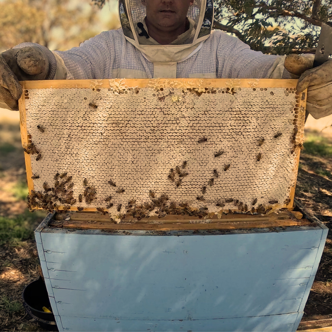 Honey Pot Gift Box - Raw Honey and Beeswax Candle Set